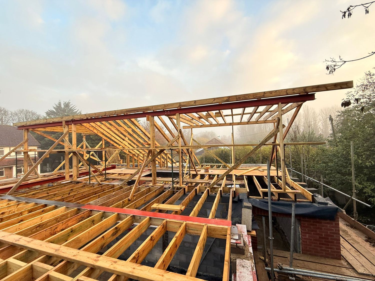 timber02